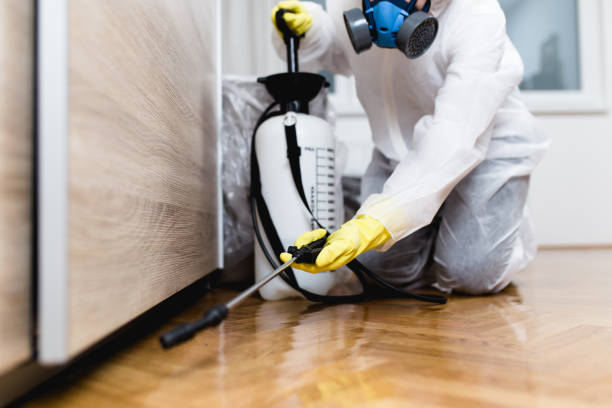 Best Local Pest Control Services  in Montclair, CA