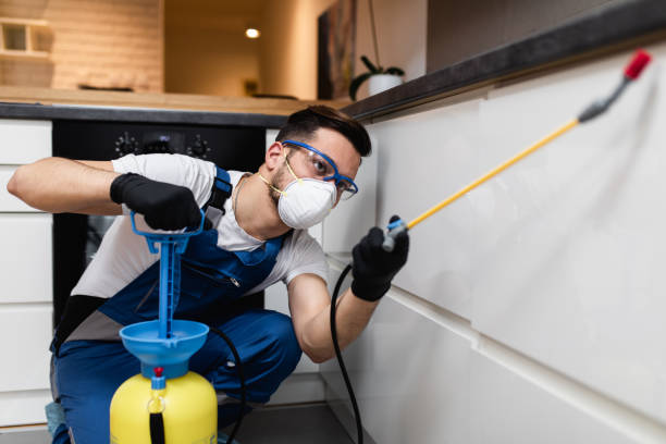 Best Wasp Removal Services  in Montclair, CA