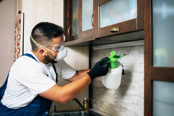 Pest Prevention Services in Montclair, CA