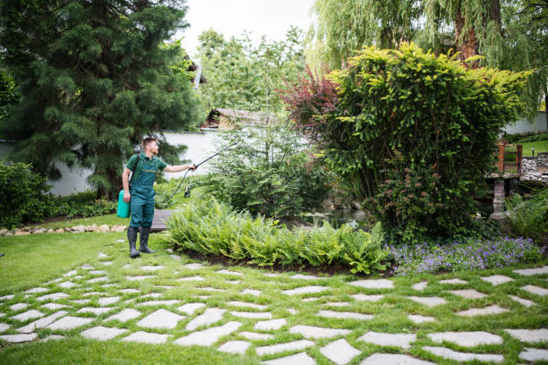 Best Best Pest Control Companies  in Montclair, CA