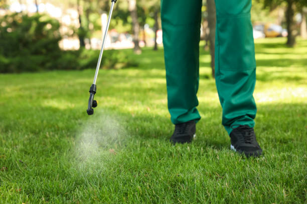 Best Pest Removal Services  in Montclair, CA