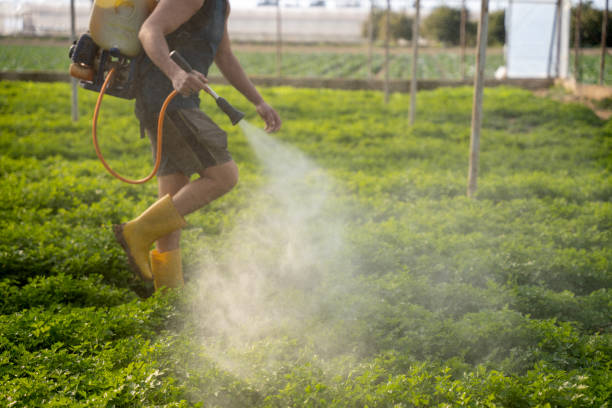 Reliable Montclair, CA Pest Control Solutions