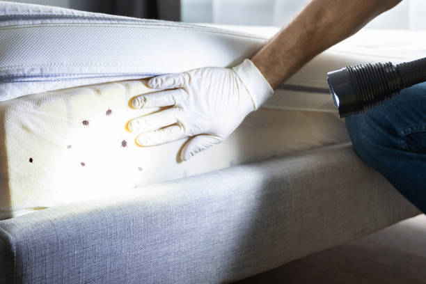 Best Commercial Pest Control Services  in Montclair, CA