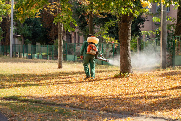 Best Rodent Control Near Me  in Montclair, CA