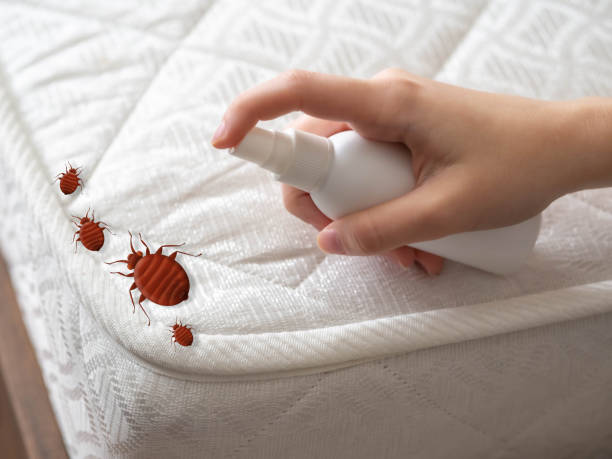 Best Affordable Pest Control Services  in Montclair, CA