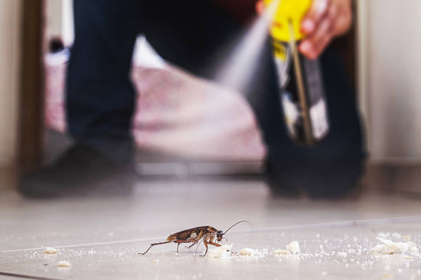 Best Bed Bug Extermination  in Montclair, CA