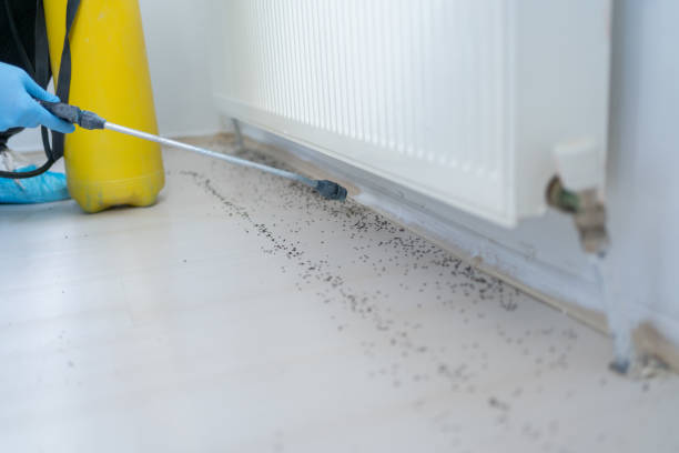 Montclair, CA Pest Control Company