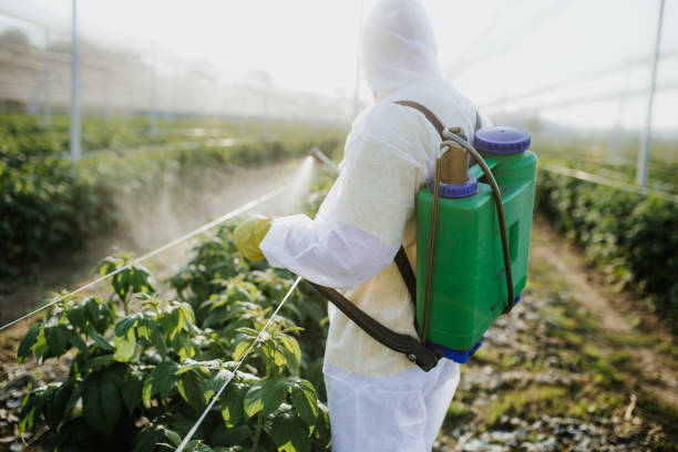 Best Wildlife Control Services  in Montclair, CA